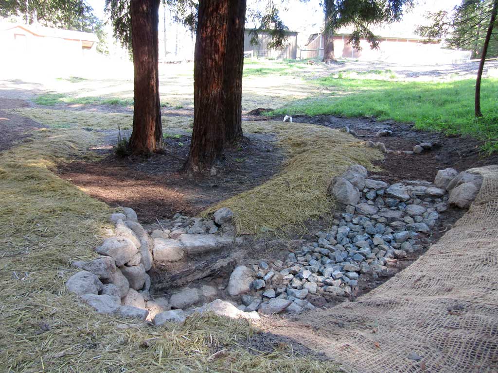 Water-harvesting earthwork on a Sonoma County property