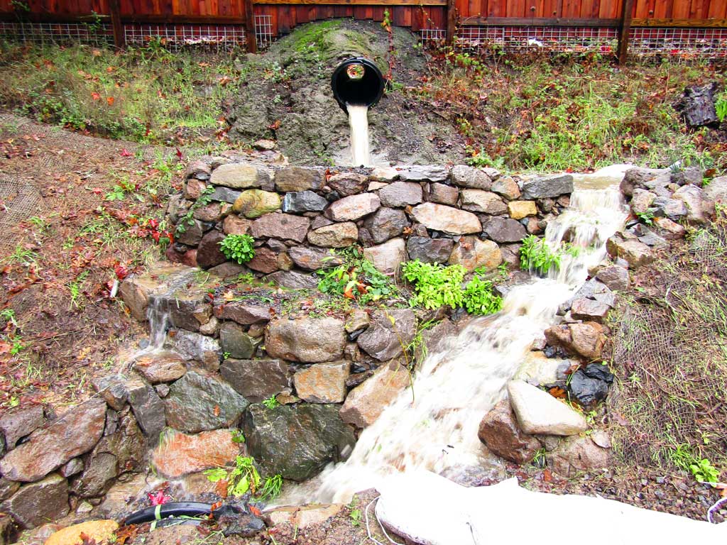 Land Regeneration