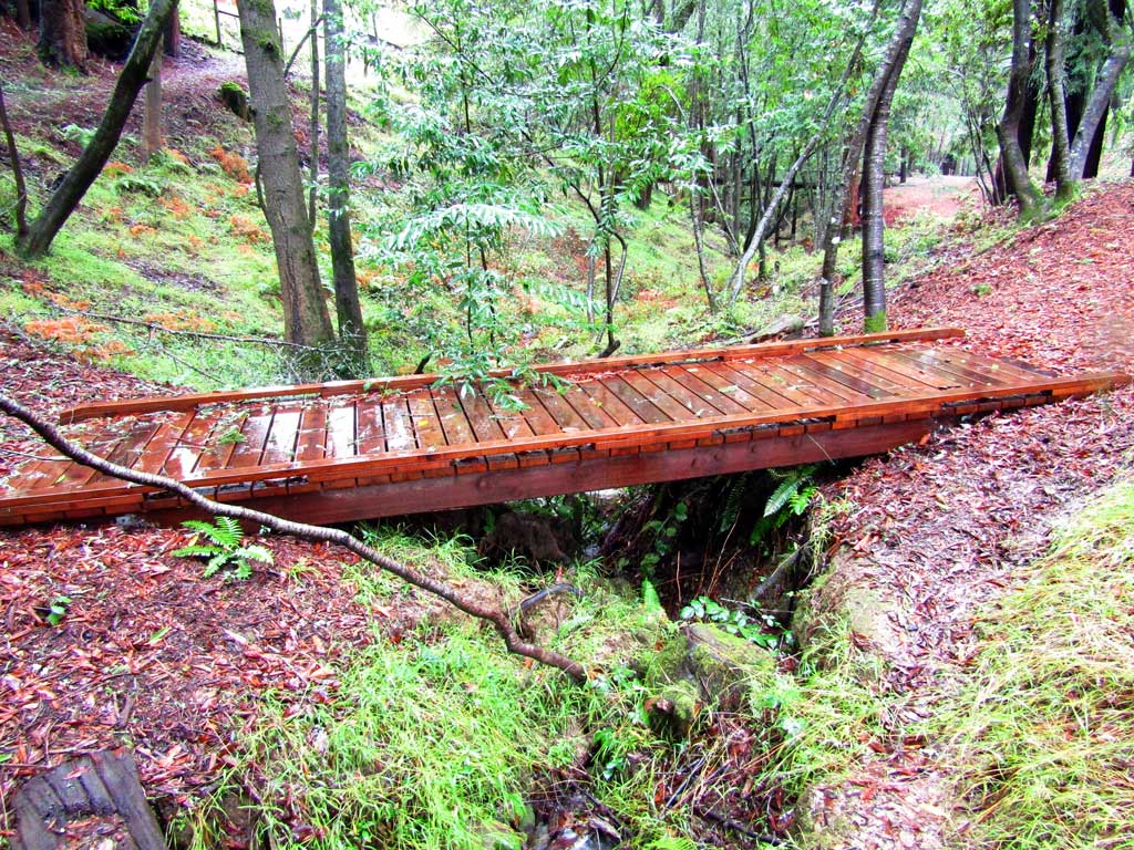 Wooden footbridge carrying a trail across a wooded gully
