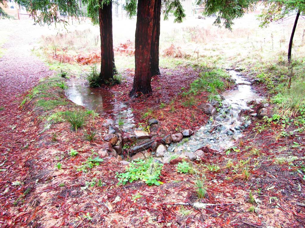 Rainwater management feature integrated into a garden