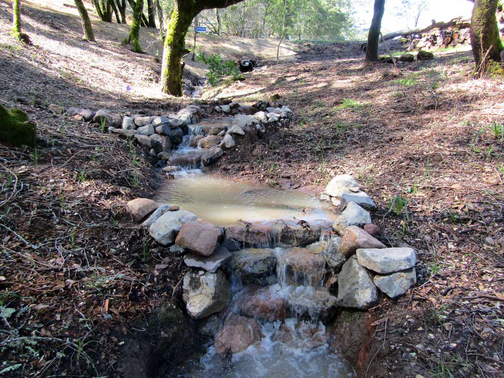 Infiltration basin planted to absorb seasonal runoff