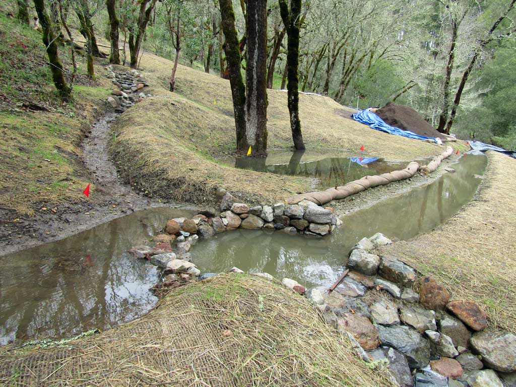Contoured earthwork slowing water on sloping ground