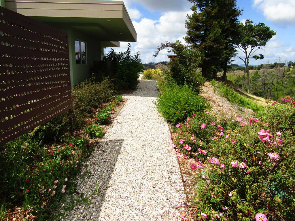 Drought-tolerant garden bed in full growth