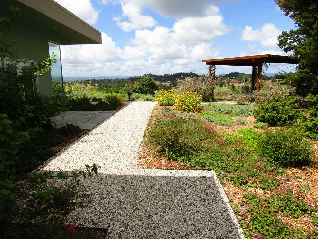Mixed native plantings establishing in a garden