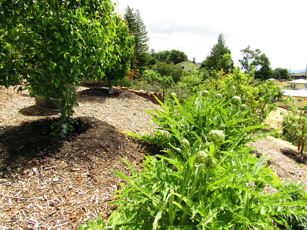 Edible plantings integrated into a designed landscape
