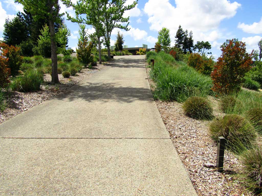 Resilient regional plantings along a path