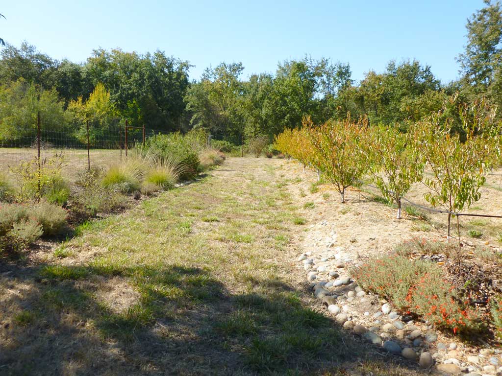 Food-producing plantings on a Sonoma County property