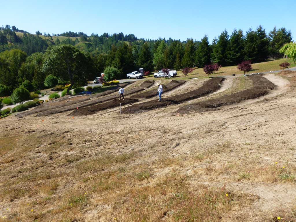 Water system construction on a rural property