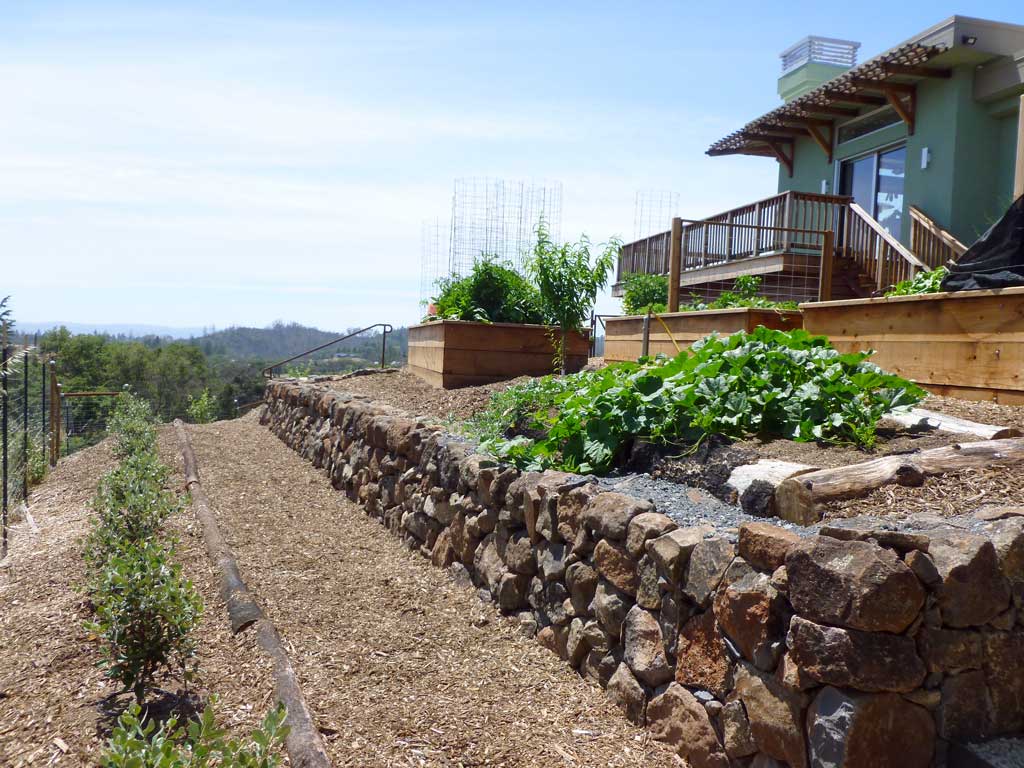 Landscape Design