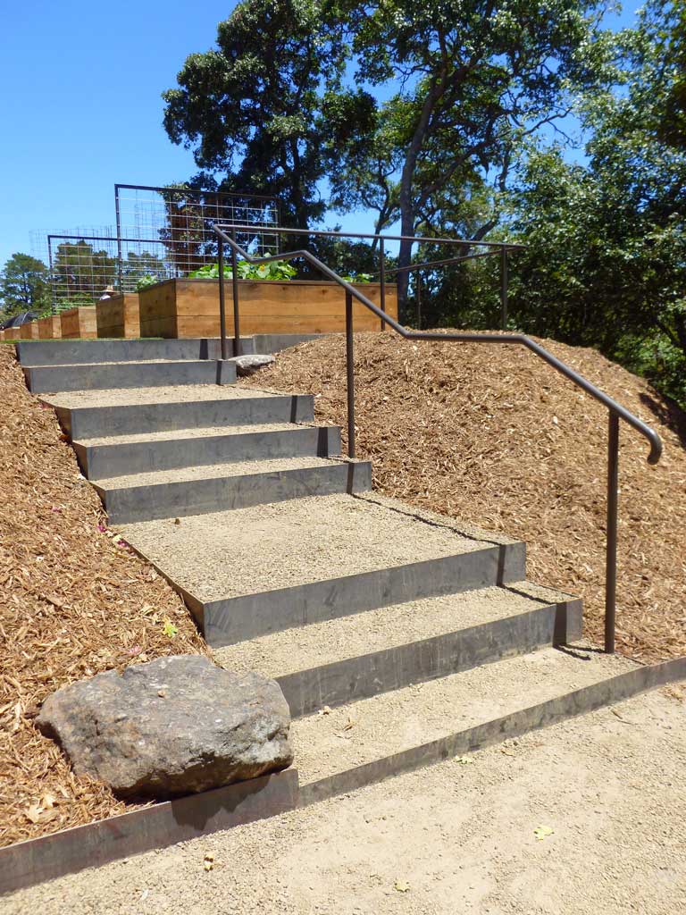 Hardscaped path through native plantings