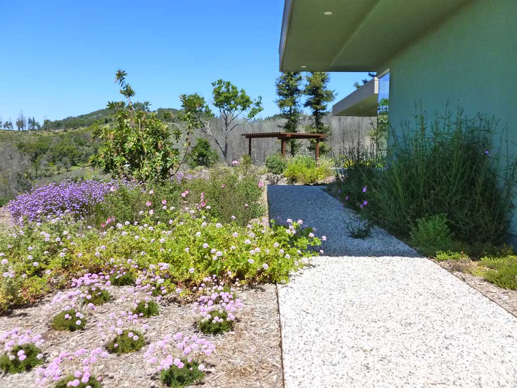 Sustainable & Native Plantings