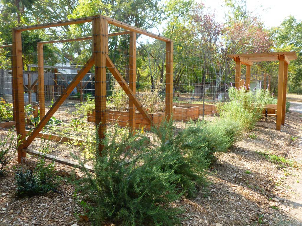 Redwood structure under construction with stakes set