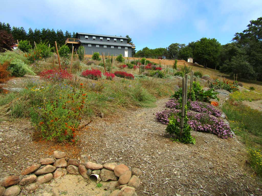 A rock-lined swale and rain garden capturing rainwater on a restored Sonoma County property