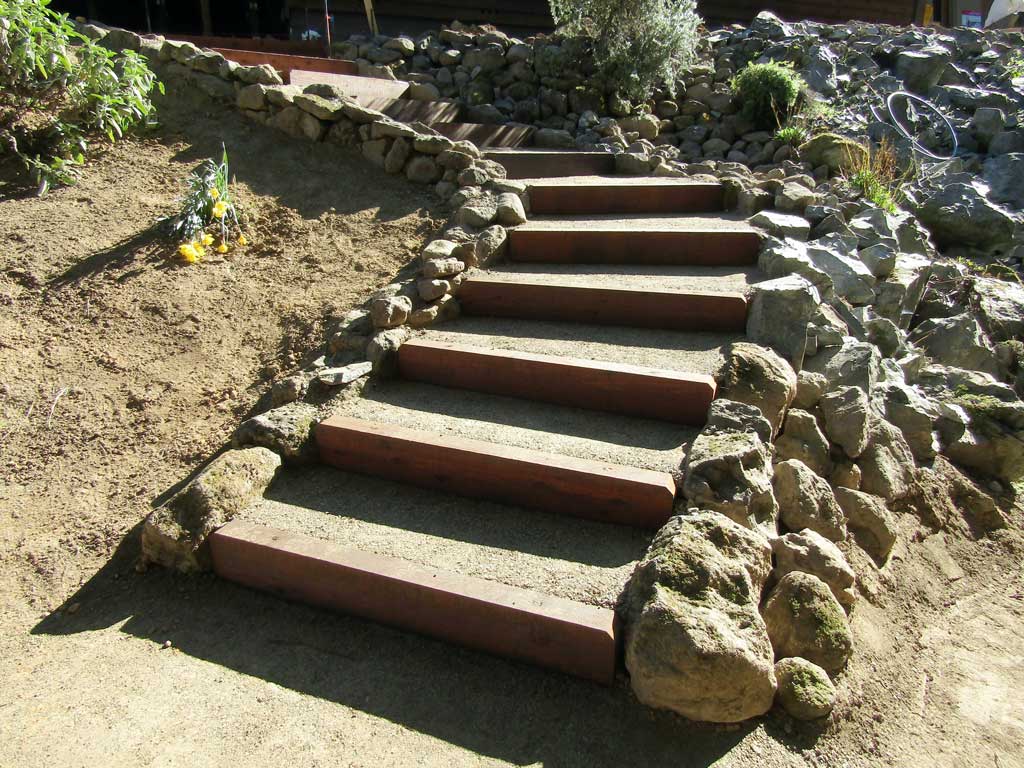 Forest-edge landscapes & fire-wise land care in Occidental, CA