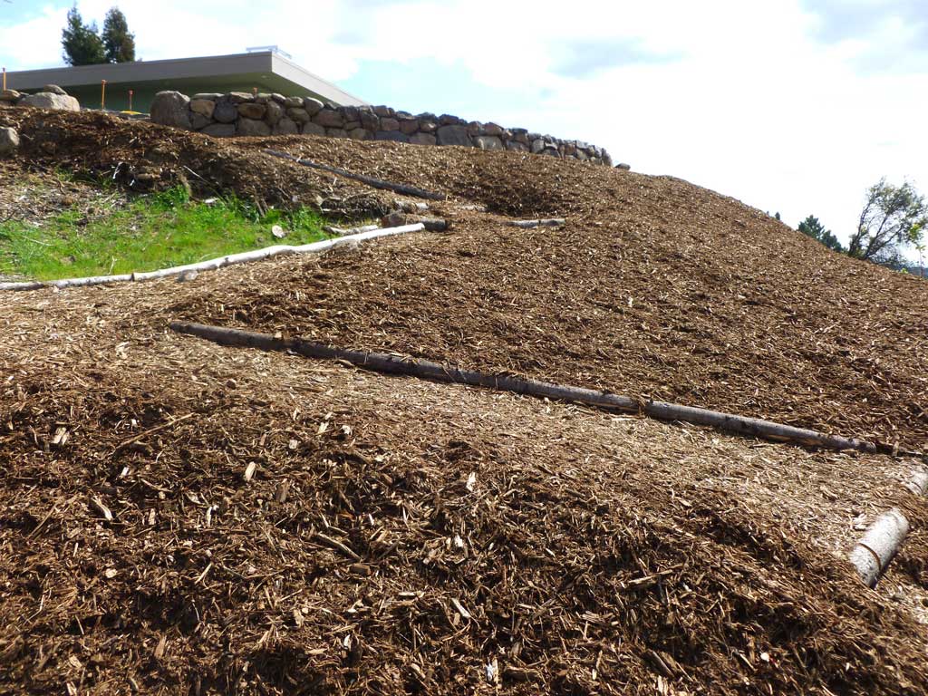 Cleared woodland trail supporting access and maintenance